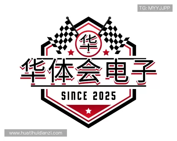 介绍华体会电子